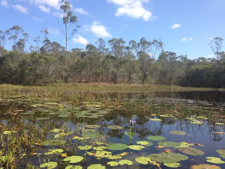 Third view of Homely land listing, 613 Diamond Hill Rd, Rosedale QLD 4674