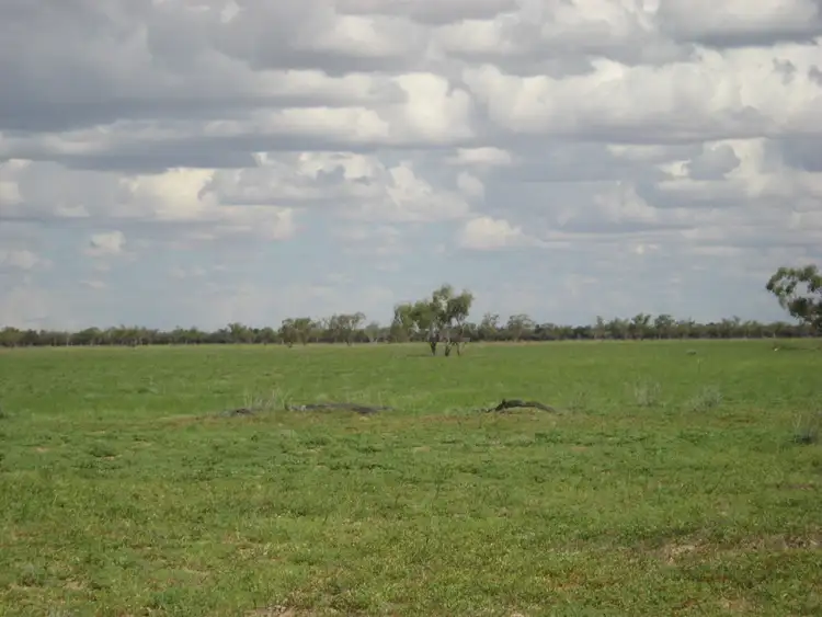 Second view of Homely rural property listing, ' Burkobulla ', Quilpie QLD 4480