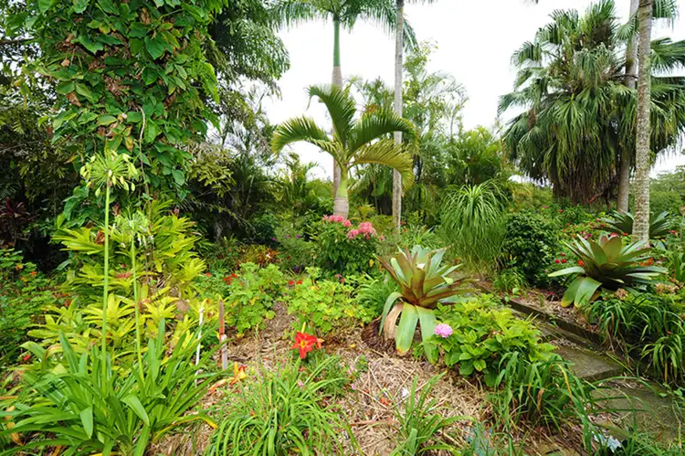 Second view of Homely house listing, 58 Cook Road, Glass House Mountains QLD 4518