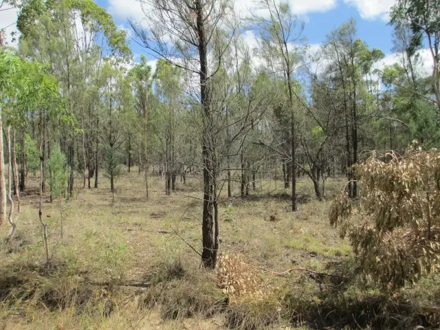 Main view of Homely rural property listing, LOT 71 FORESTRY ROAD, Weranga QLD 4405
