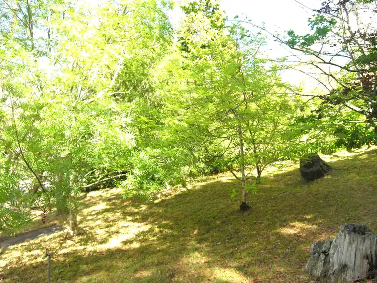 Fourth view of Homely land listing, 83 Scott Avenue, Leura NSW 2780