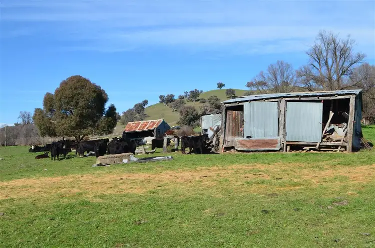 Seventh view of Homely house listing, Lot 21 Twomeys Lane ( Lot 1 Withers Lane), Tumut NSW 2720