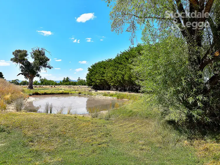 Fourth view of Homely rural property listing, 430 Wallan Road, Whittlesea VIC 3757