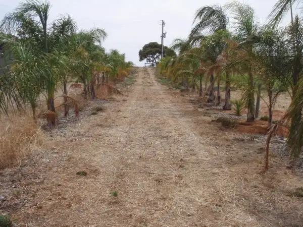 Third view of Homely land listing, Lot 3 Bungana Drive, Murray Bridge SA 5253