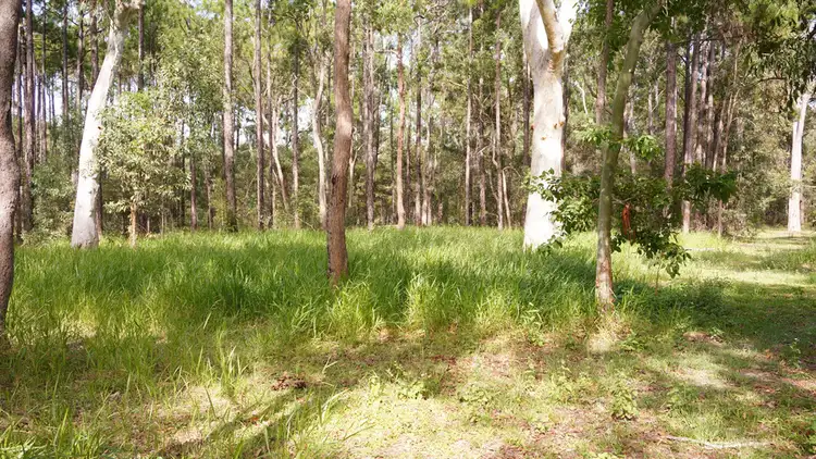 Sixth view of Homely rural property listing, 414-424 Beerburrum Rd, Caboolture QLD 4510