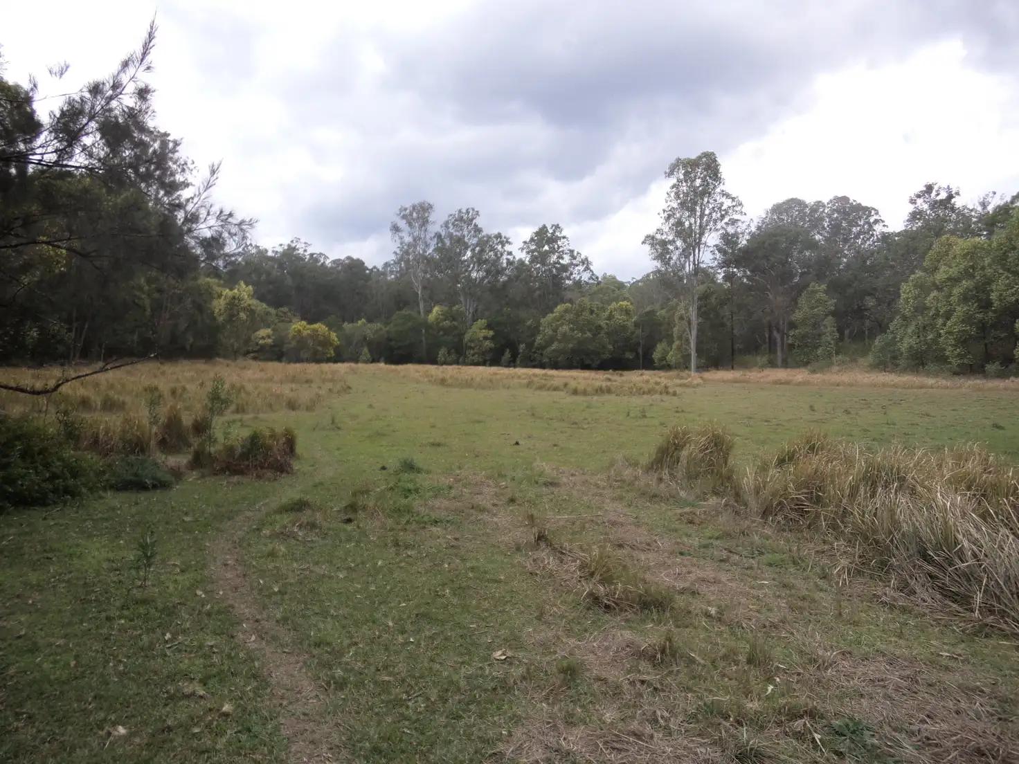 Main view of Homely rural property listing, Lot 38 Upper Fine Flower, Upper Fine Flower NSW 2460