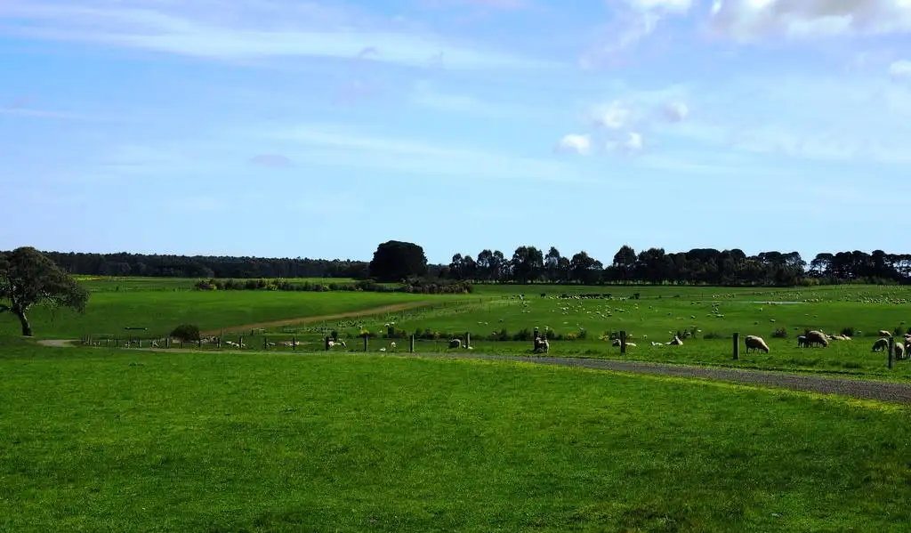 Main view of Homely rural property listing, 642 Murndal Road, Morgiana via, Hamilton VIC 3300