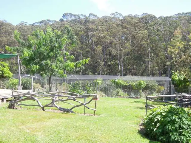 Seventh view of Homely rural property listing, 73 Roberts Road, Tanja NSW 2550