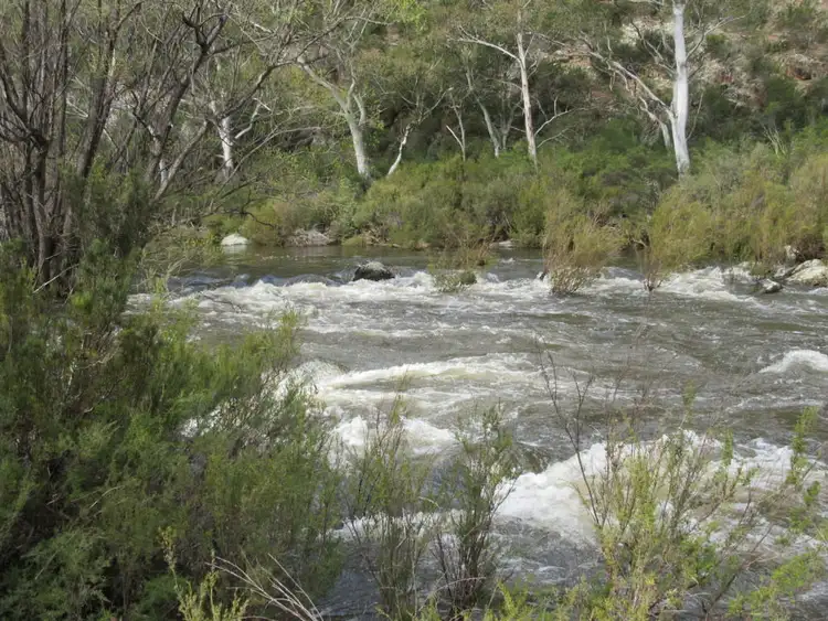 Third view of Homely rural property listing, 466 Caddigat Rd, Dry Plain NSW 2630