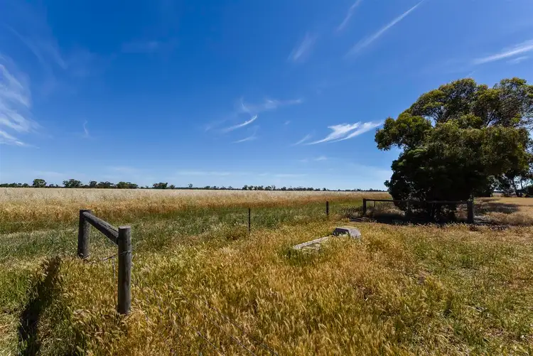 Third view of Homely rural property listing, 353B Cannawigara Road, Bordertown SA 5268
