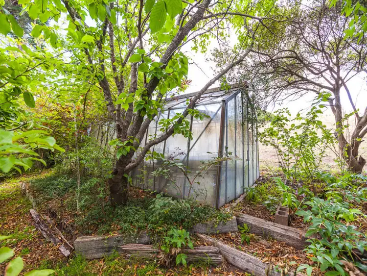 Sixth view of Homely house listing, 77 Rosevears Drive, Rosevears TAS 7277