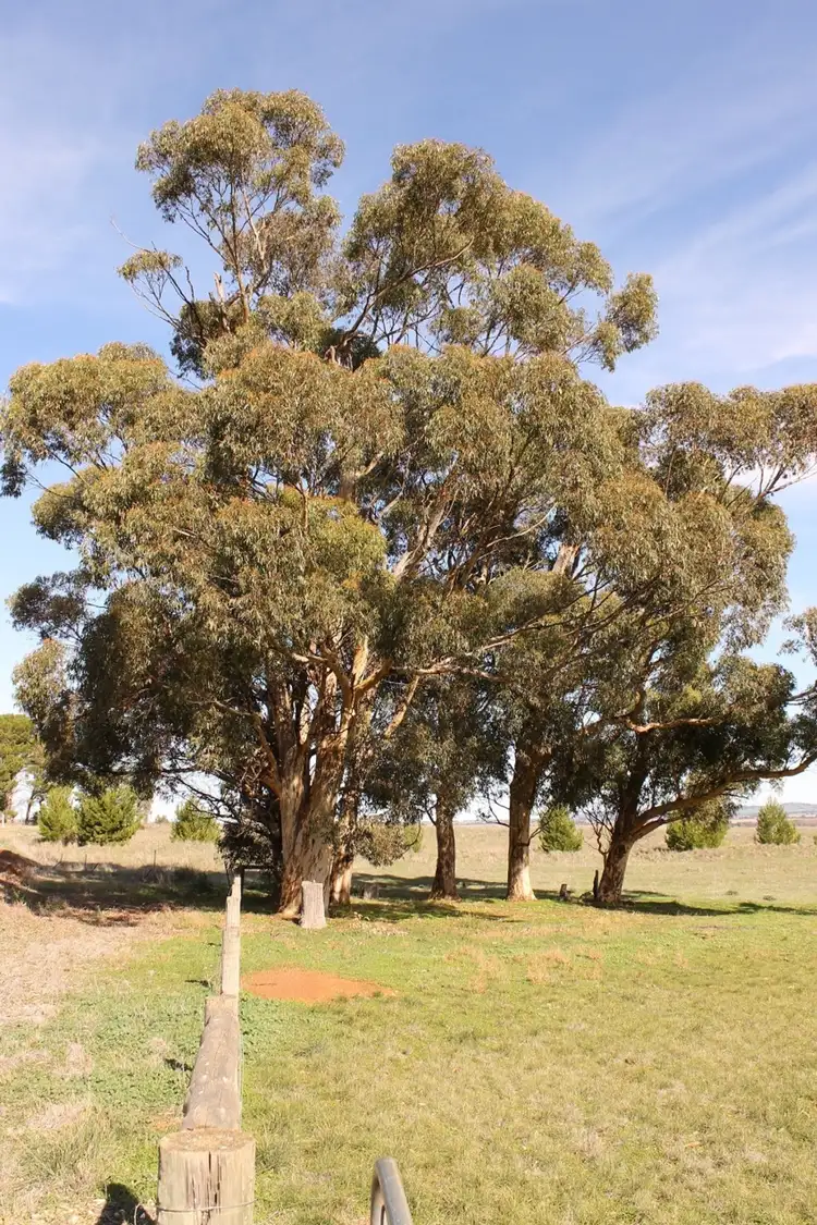 Third view of Homely land listing, Lot 23 Staveley Street, Farrell Flat SA 5416