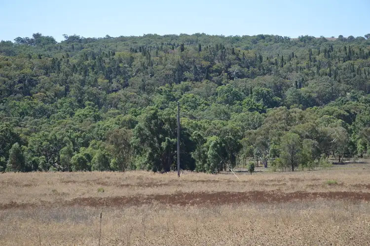 Seventh view of Homely rural property listing, 1851 Mount Hope Road, Coolah NSW 2843
