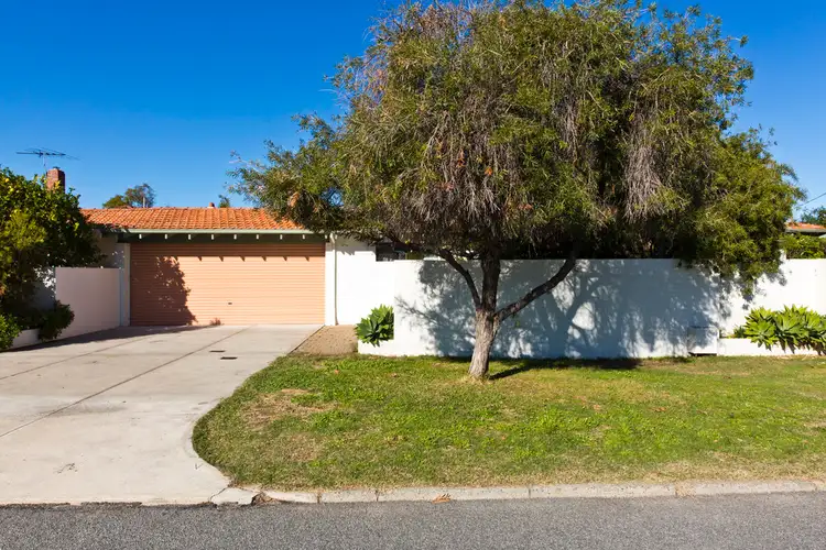 Main view of Homely house listing, 237 Ruislip Street, Wembley WA 6014