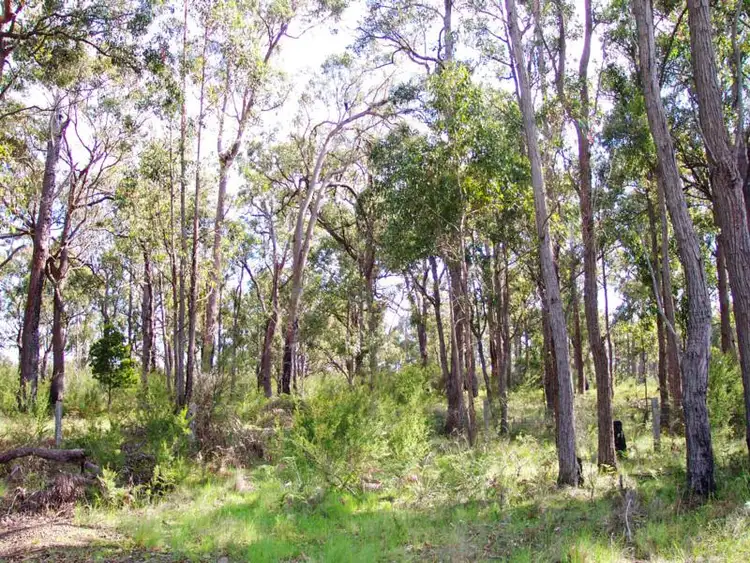 Sixth view of Homely rural property listing, Lot 2 South Gippsland Highway, Woodside VIC 3874