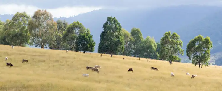 Lot 1 Hilltop Road, Tumbarumba NSW 2653