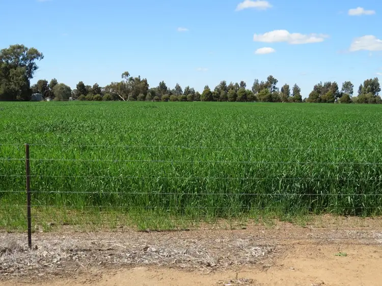 Second view of Homely rural property listing, 21380 Riverina Highway, Deniliquin NSW 2710
