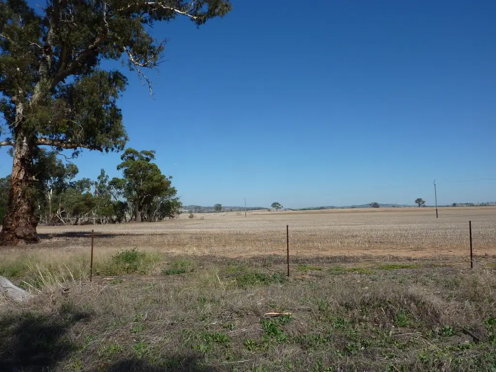 Main view of Homely rural property listing, 300 Hatwells Crossing Road, Wagga Wagga NSW 2650