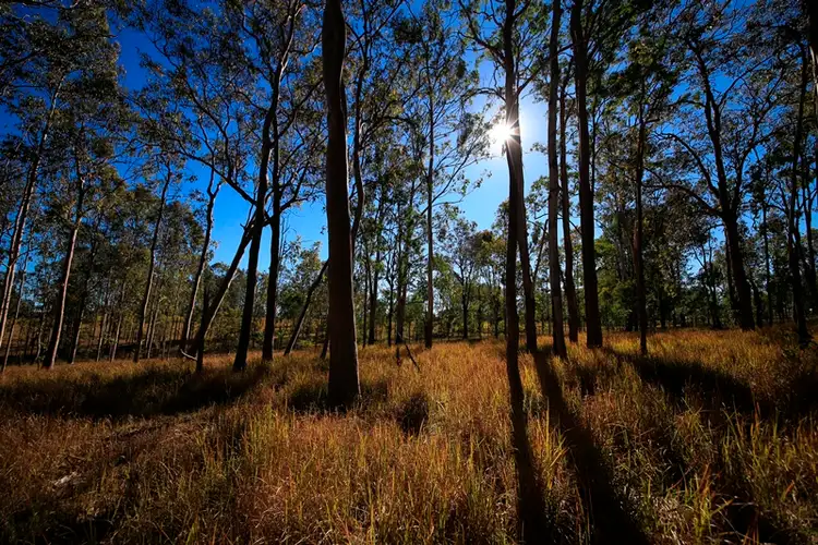Third view of Homely rural property listing, Lot 5 Hampton Road, Waterview Heights NSW 2460