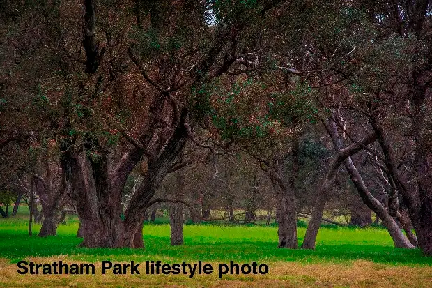 Sixth view of Homely land listing, Lot 239 Bourne Loop, Stratham WA 6237