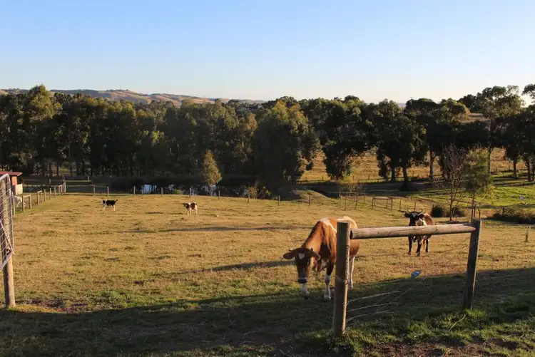 Fourth view of Homely land listing, 24 Eagle Rise, Nyora VIC 3987