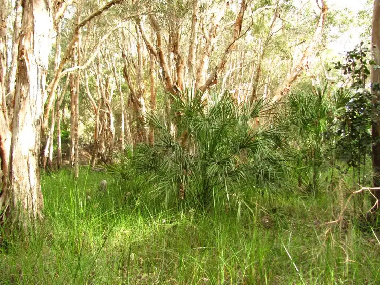Fourth view of Homely rural property listing, Lot 175 Freshwater Court, Deepwater QLD 4674