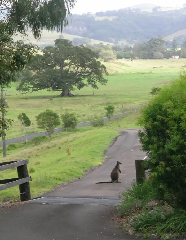 Main view of Homely house listing, 89 Fountaindale Road, Jamberoo NSW 2533