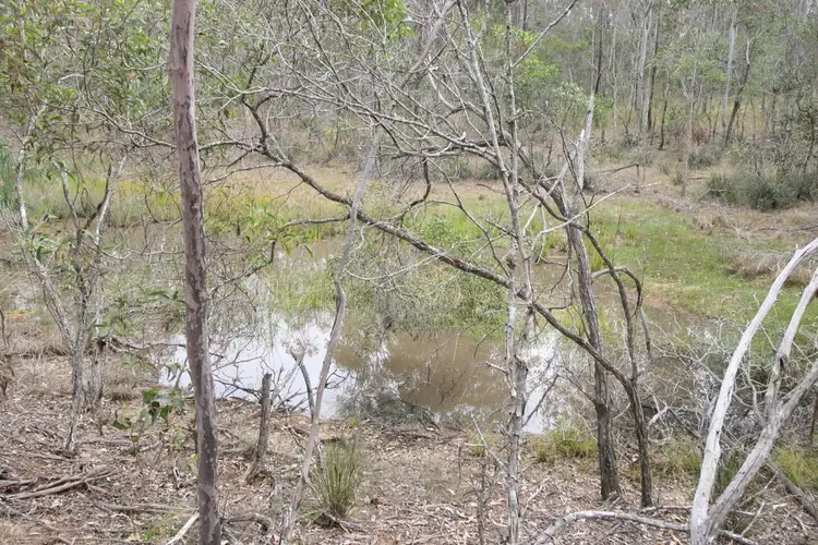 Fourth view of Homely rural property listing, 400 Reads Rd, Avondale QLD 4670