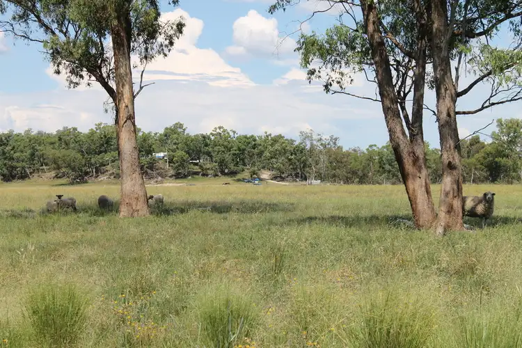Main view of Homely rural property listing, 183 Twin Creek Road, Warialda NSW 2402