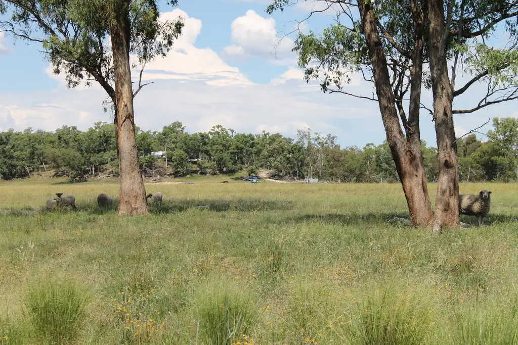 Main view of Homely rural property listing, 183 Twin Creek Road, Warialda NSW 2402