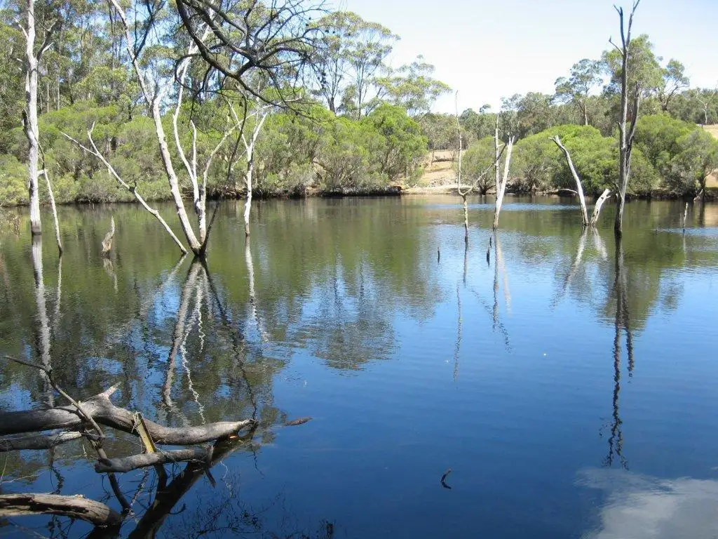 Main view of Homely rural property listing, 88 Denmark/Mount Barker, Denbarker WA 6324