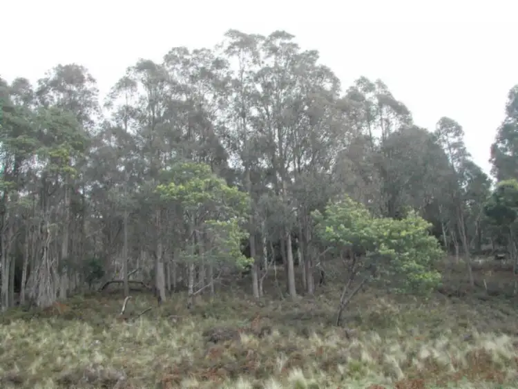 Second view of Homely rural property listing, 947 Sawpit Hill Road, Blessington TAS 7212