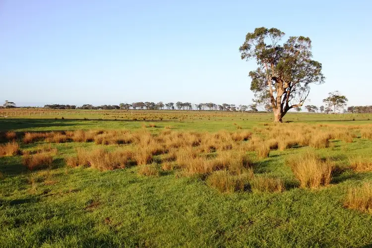 Fifth view of Homely rural property listing, 1642 South Gippsland Highway, Woodside VIC 3874