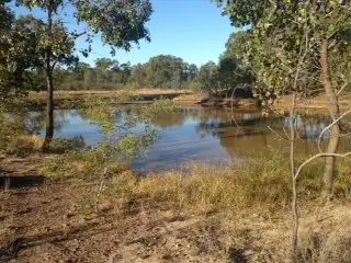 LOT 84 McKEE DRIVE, Tara QLD 4421