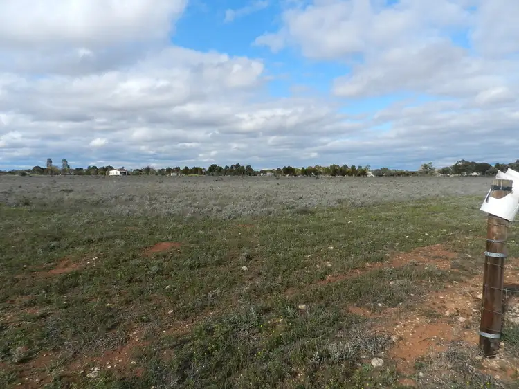 Second view of Homely land listing, 201, 202 & 203 Wilkinson Road, Loveday SA 5345