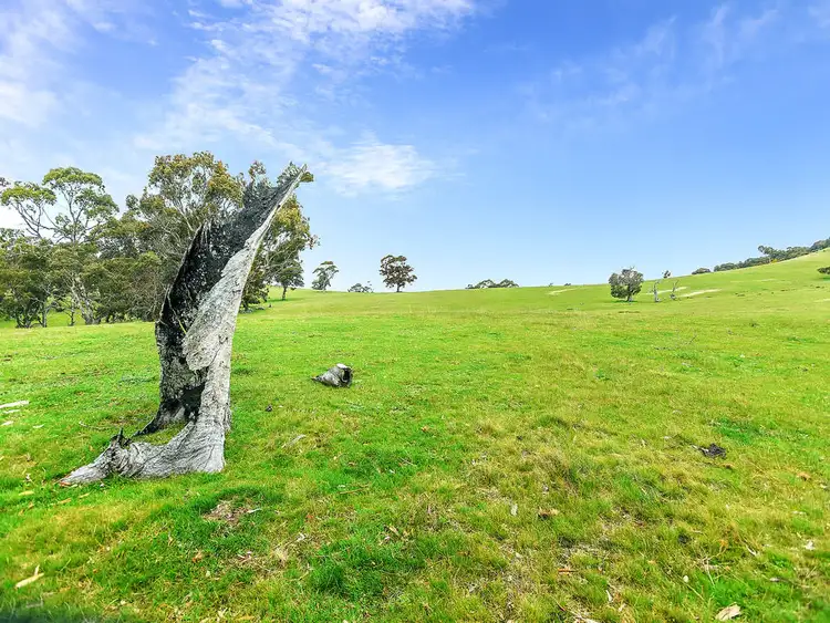 Sixth view of Homely rural property listing, A527 Dog Trap Road, Strathalbyn SA 5255