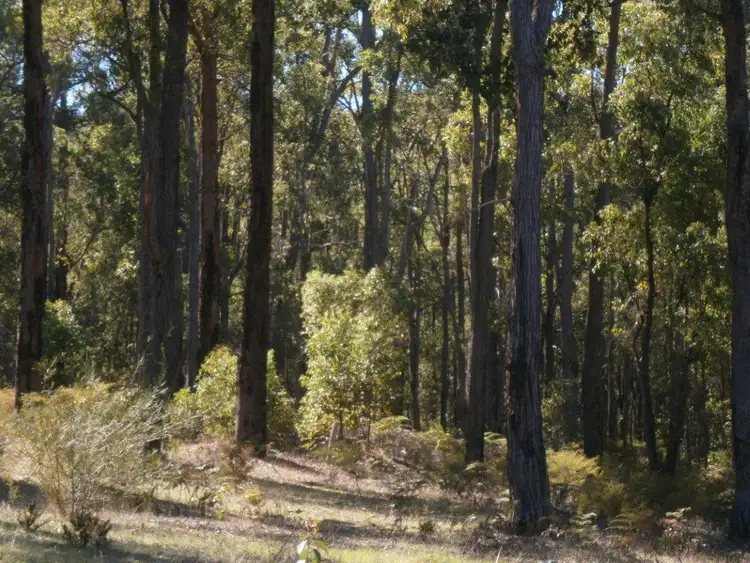 Fifth view of Homely rural property listing, Lot 3 "Hillandale", Nannup WA 6275