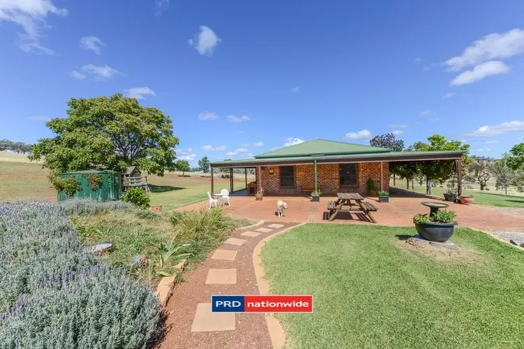 Second view of Homely rural property listing, 13772 New England Highway, Tamworth NSW 2340