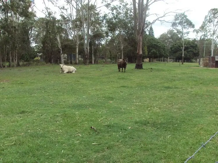 20 Blue Pacific Road, Deception Bay QLD 4508