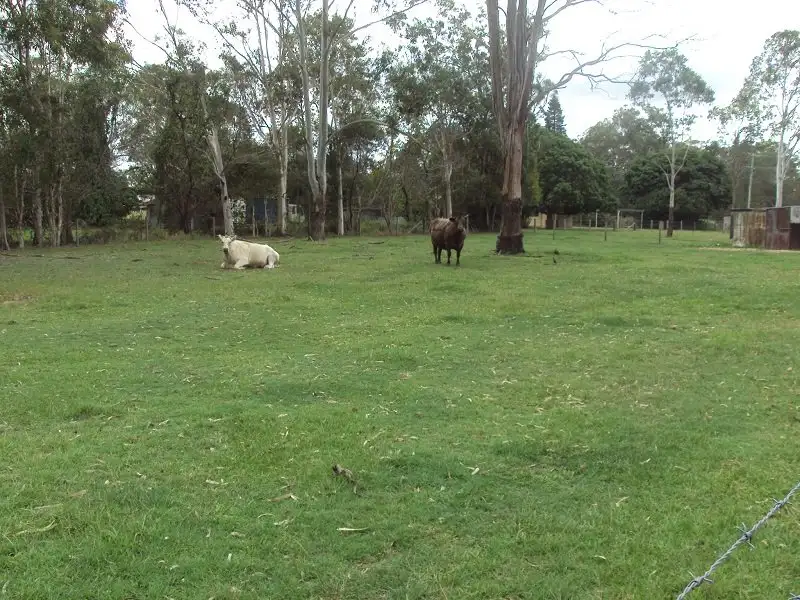 Main view of Homely rural property listing, 20 Blue Pacific Road, Deception Bay QLD 4508