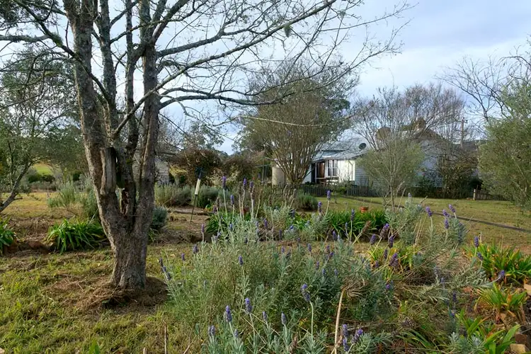 Main view of Homely rural property listing, Address available on request
