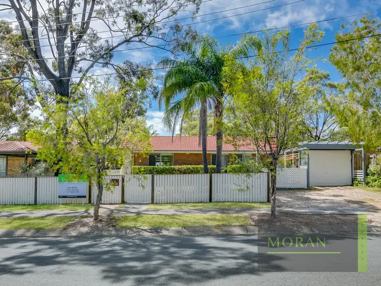 Main view of Homely house listing, 31 Panache Street, Molendinar QLD 4214