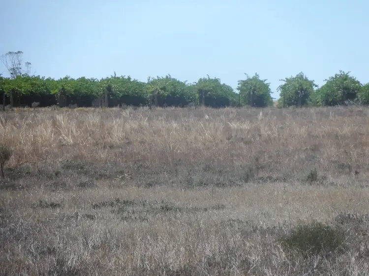 Fourth view of Homely land listing, Sec 434 Anderson Road, Loxton North SA 5333