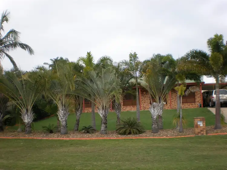 10 Daydream Court, Kawungan QLD 4655