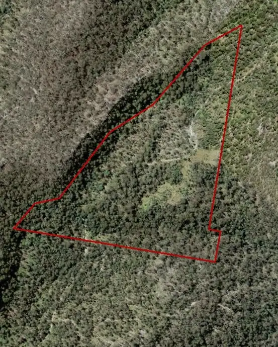 Seventh view of Homely rural property listing, Lot 129 Kangaroo Creek Road, Kangaroo Creek NSW 2460