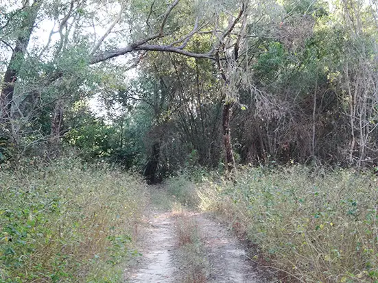 Seventh view of Homely land listing, 45 River Road, Bynoe NT 822