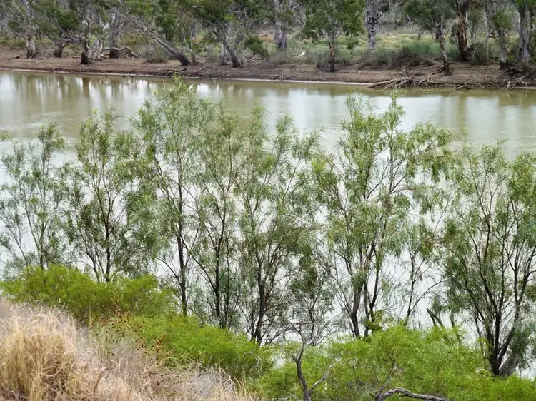 Fifth view of Homely land listing, Lot 26 Ella Court, Loxton SA 5333