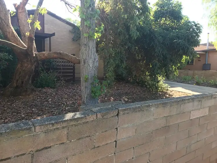 Third view of Homely house listing, 3 WALDITCH ST, Elizabeth Downs SA 5113