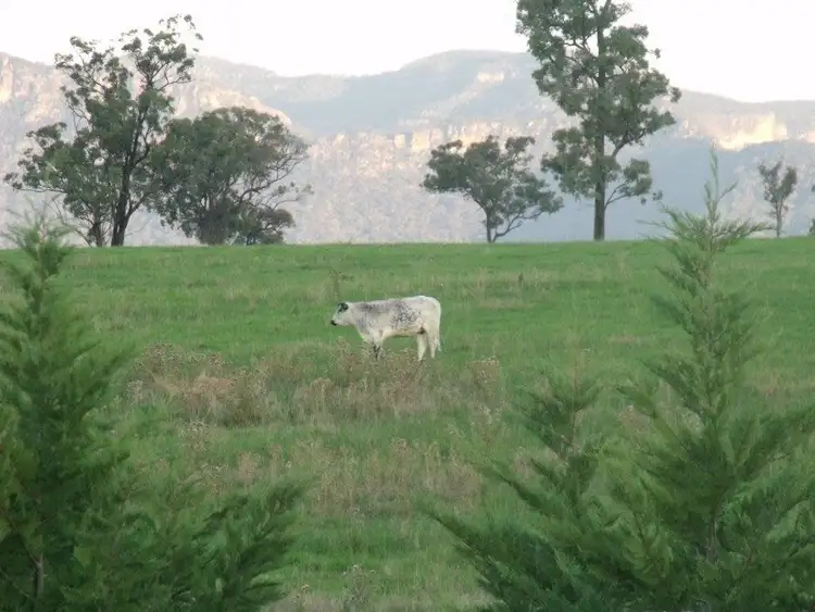 Second view of Homely rural property listing, Lot 13 Genowlan Road, Glen Alice NSW 2849