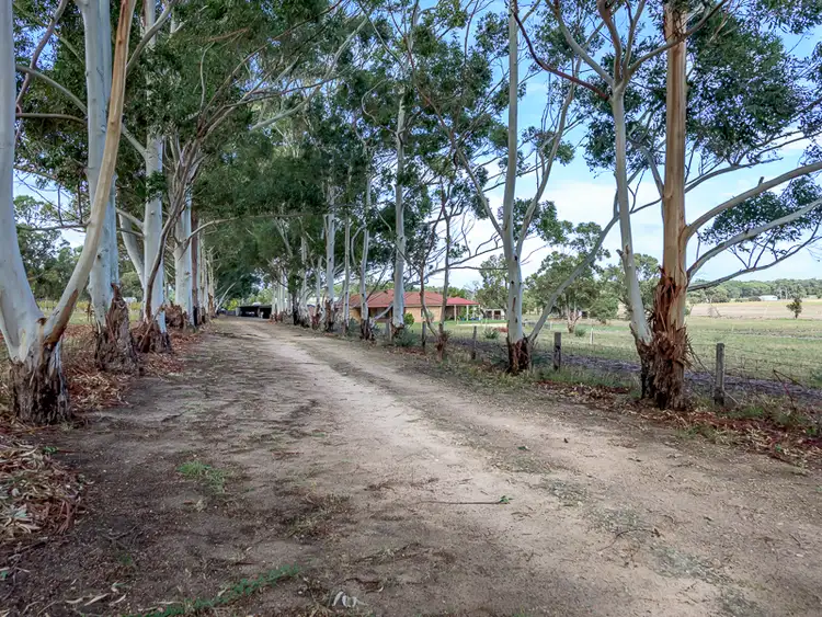Second view of Homely rural property listing, 173 Karri Street, Karnup WA 6176